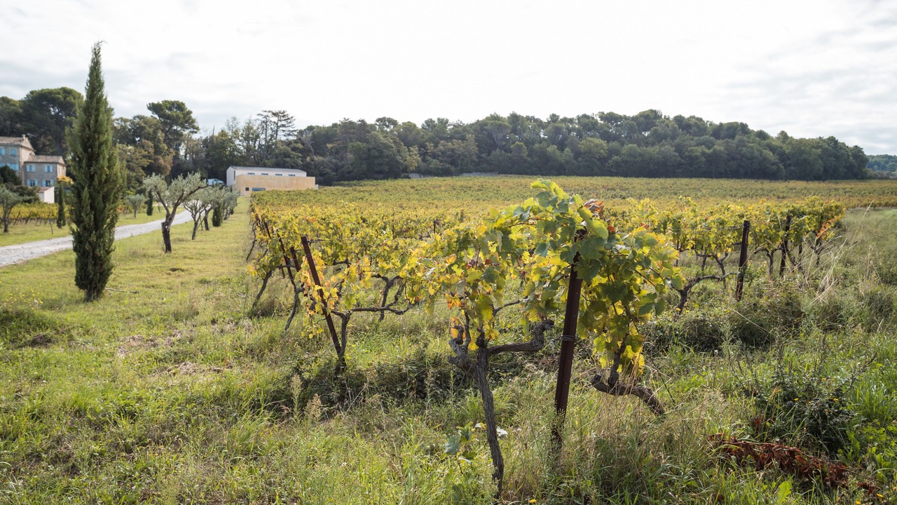Photo of Outdoor in Valreas