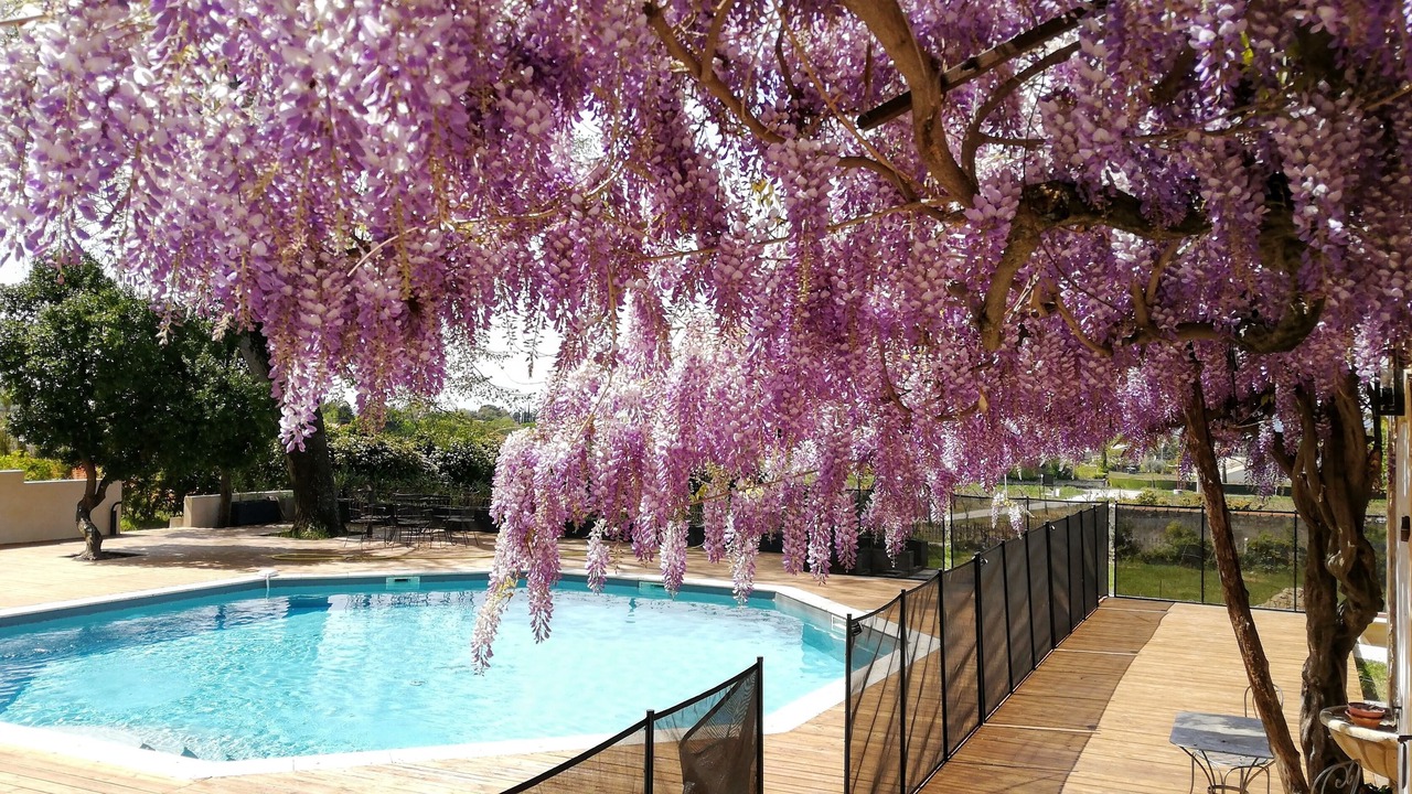 Photo of Outdoor in Valreas