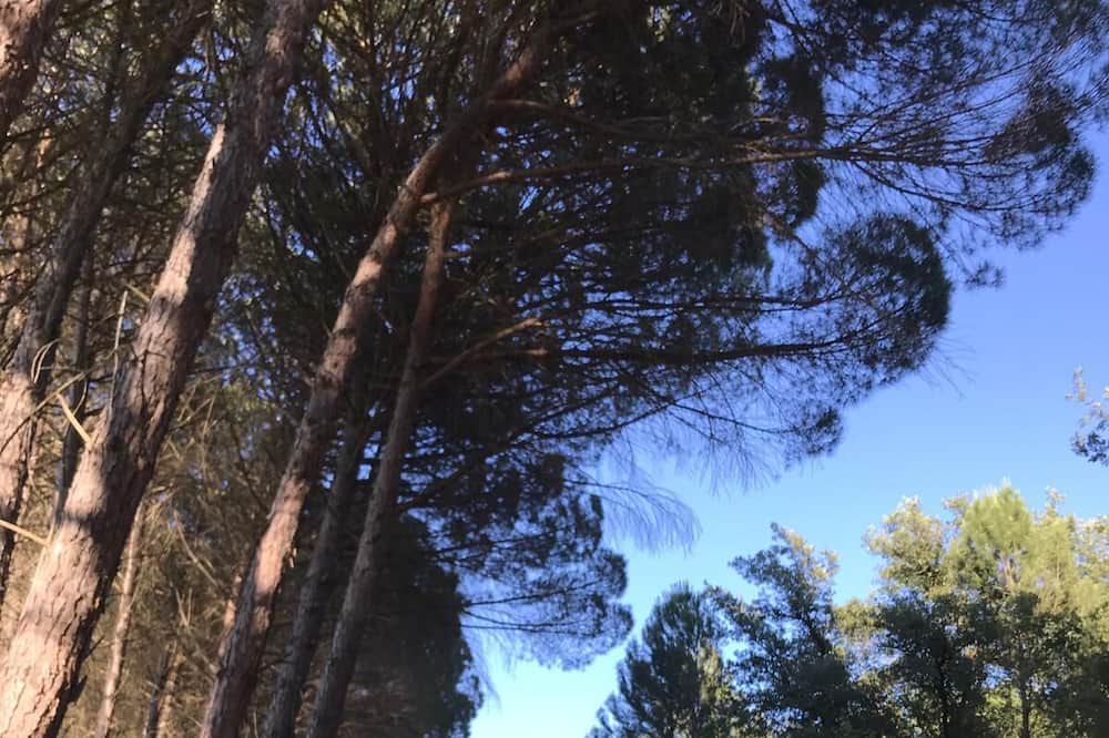 Photo of Outdoor in Llimiana