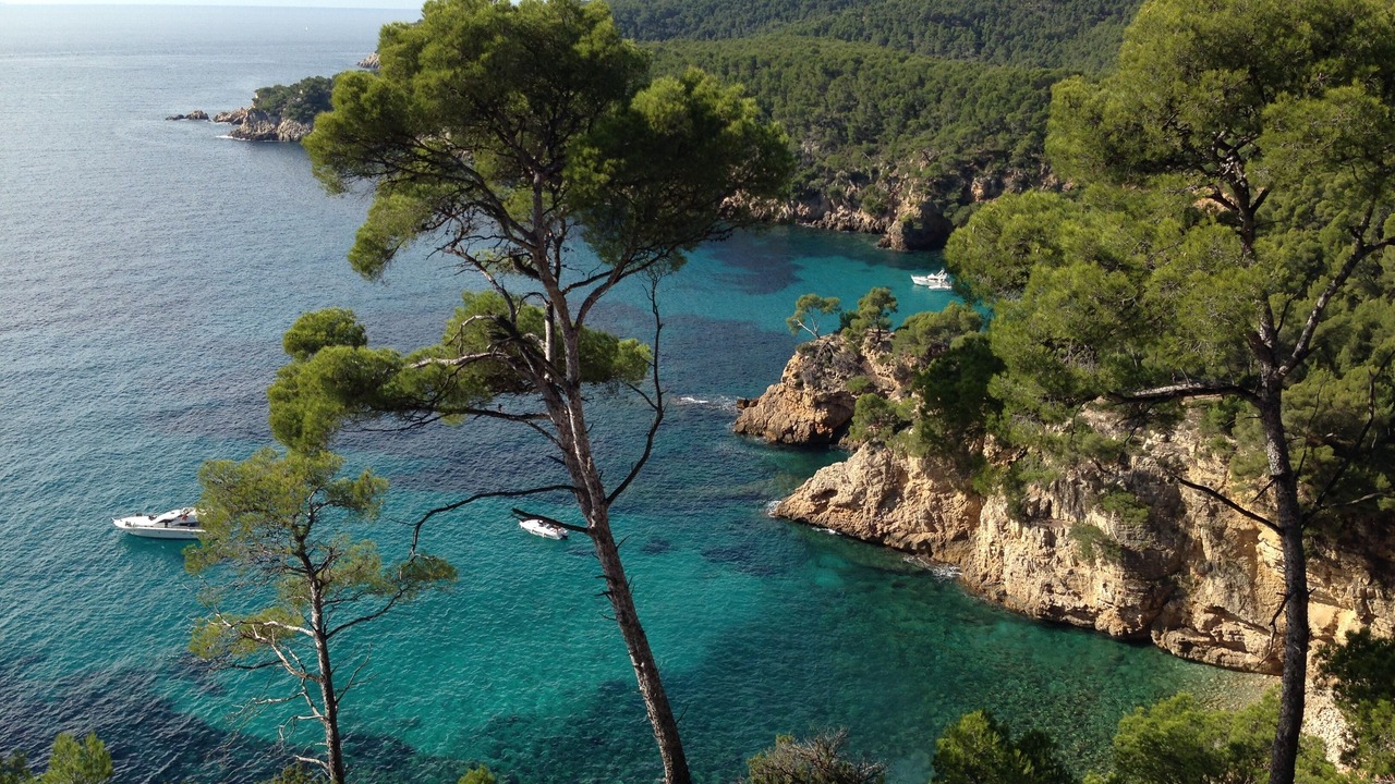 Photo of Others in Greasque