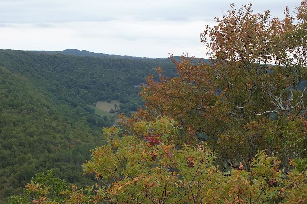 Photo of Outdoor in Penne