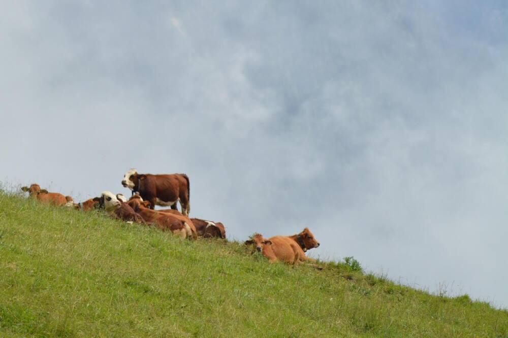 Photo of Others in Villard-sur-Doron