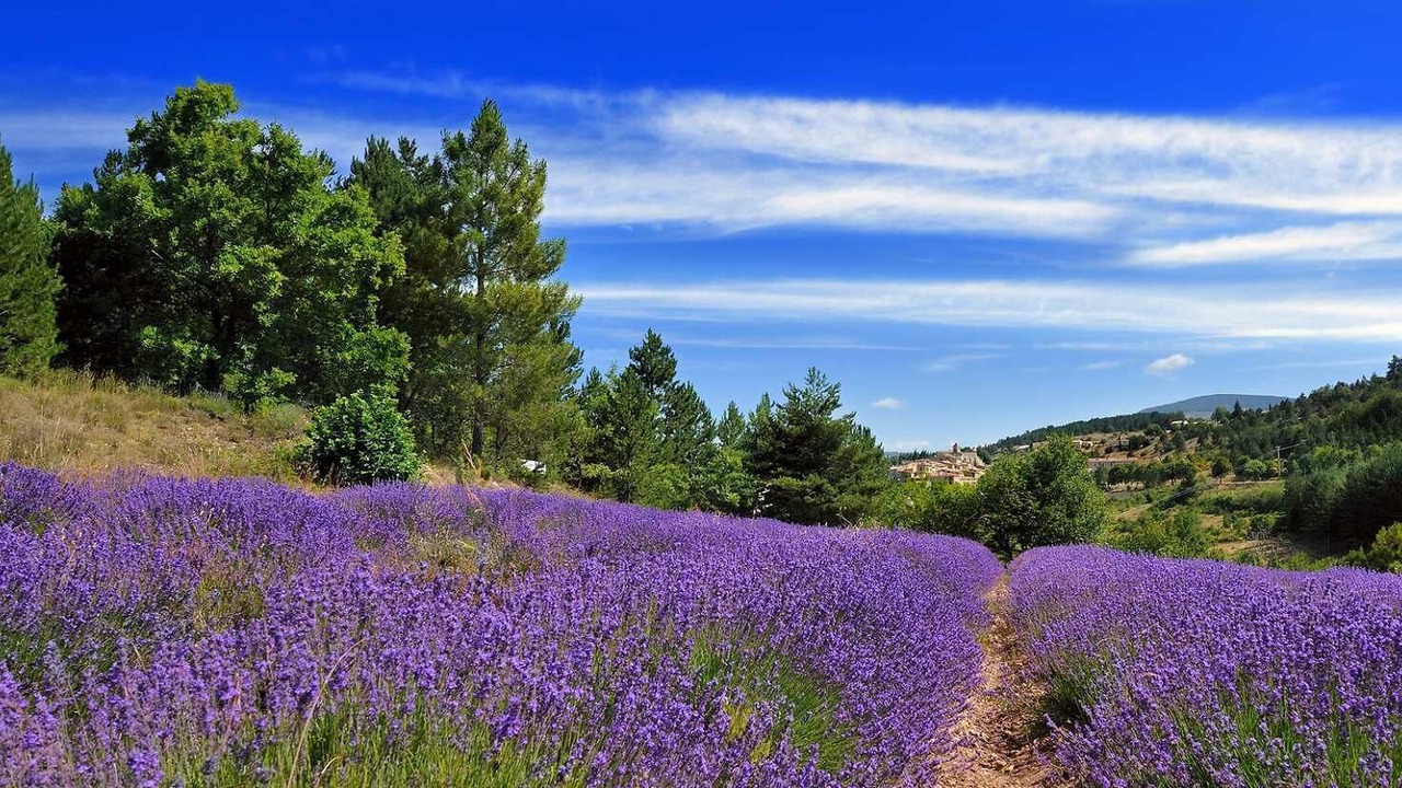 Photo of Outdoor in Rochemaure