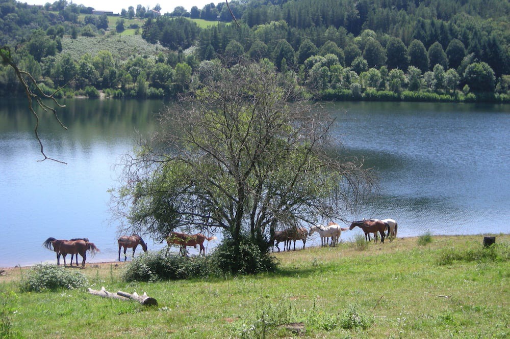 Photo of Outdoor in Mont-Roc