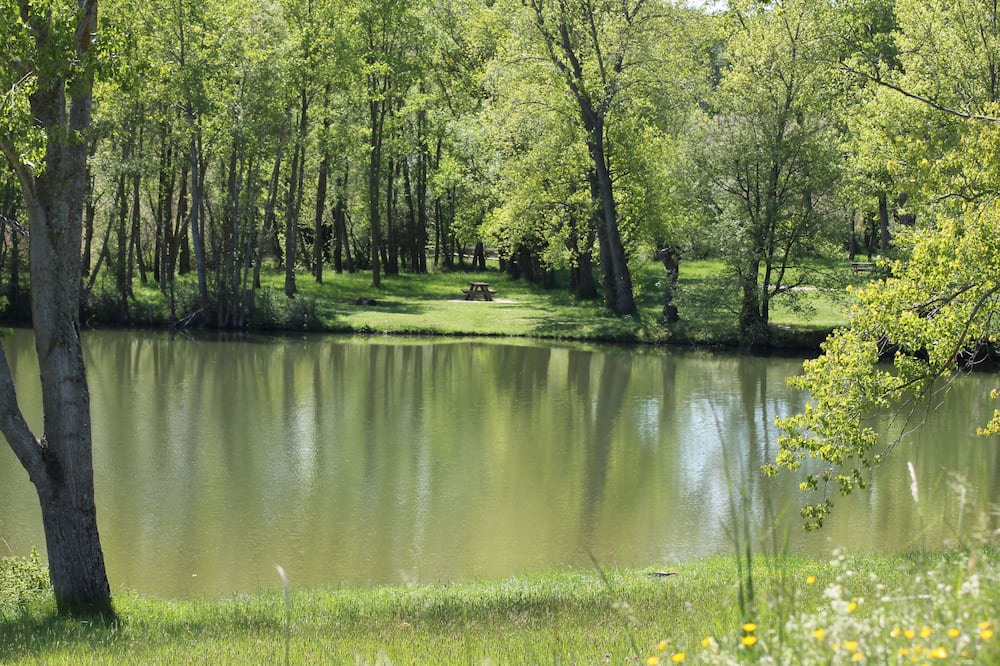 Photo of Outdoor in Escueillens-et-Saint-Just-de-Belengard