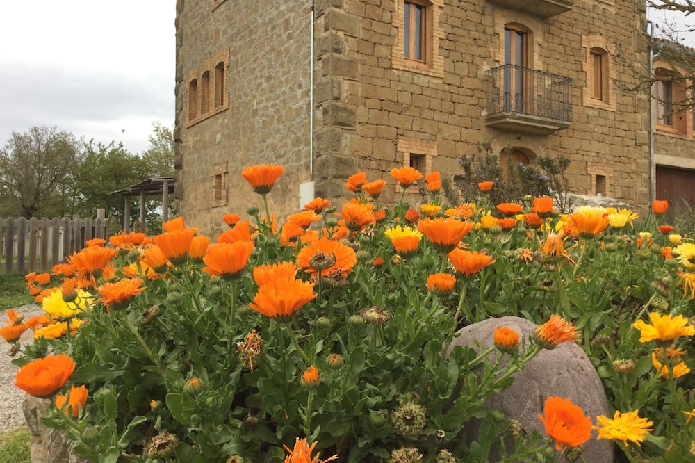 Photo of Outdoor in Llobera