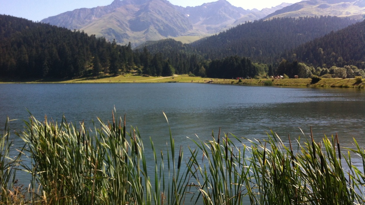 Photo of Outdoor in Borderes-Louron