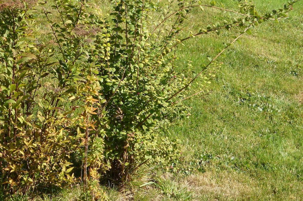 Photo of Outdoor in Paulhac-en-Margeride