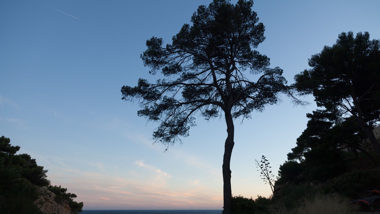 Photo of Others in Ensues-la-Redonne
