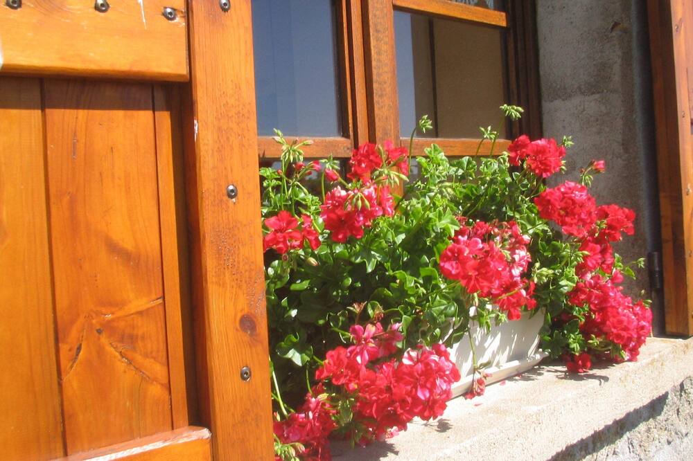 Photo of Outdoor in Paulhac-en-Margeride