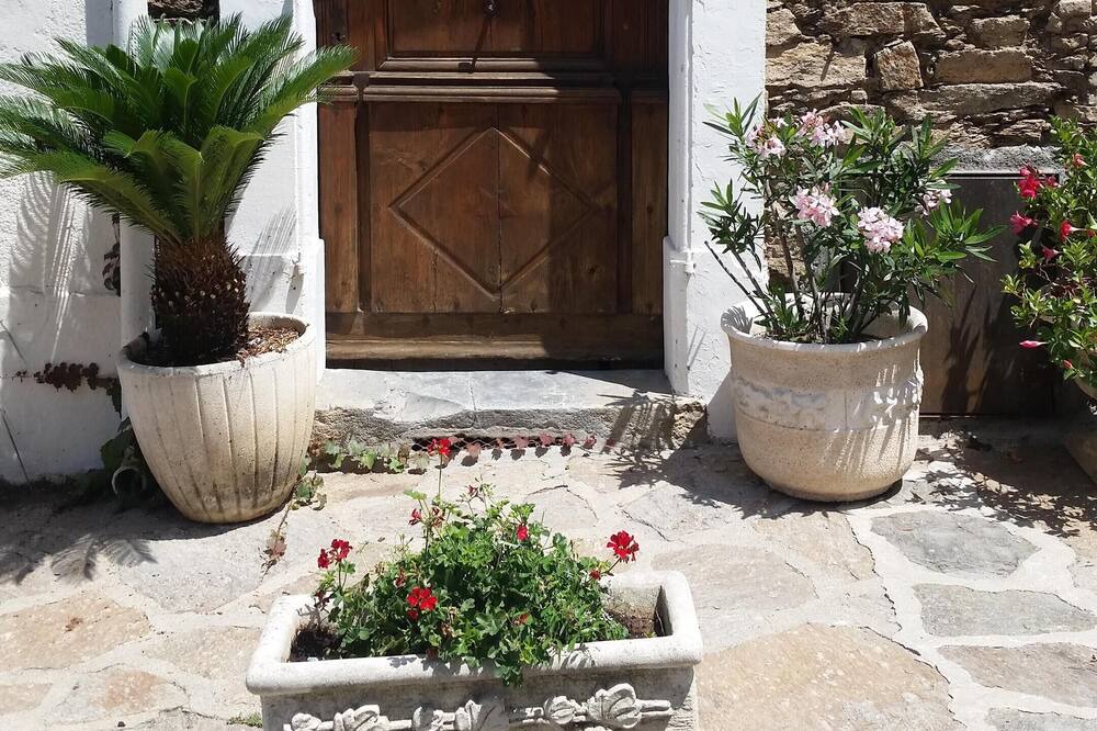 Photo of Others in La Garde-Freinet