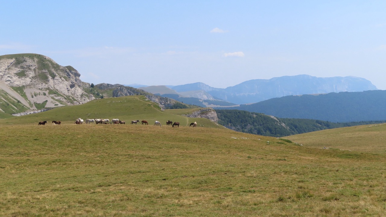 Photo of Outdoor in Chabeuil