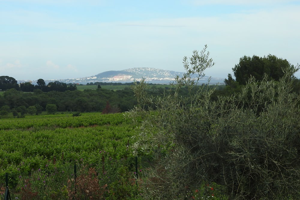 Photo of Outdoor in Pomerols