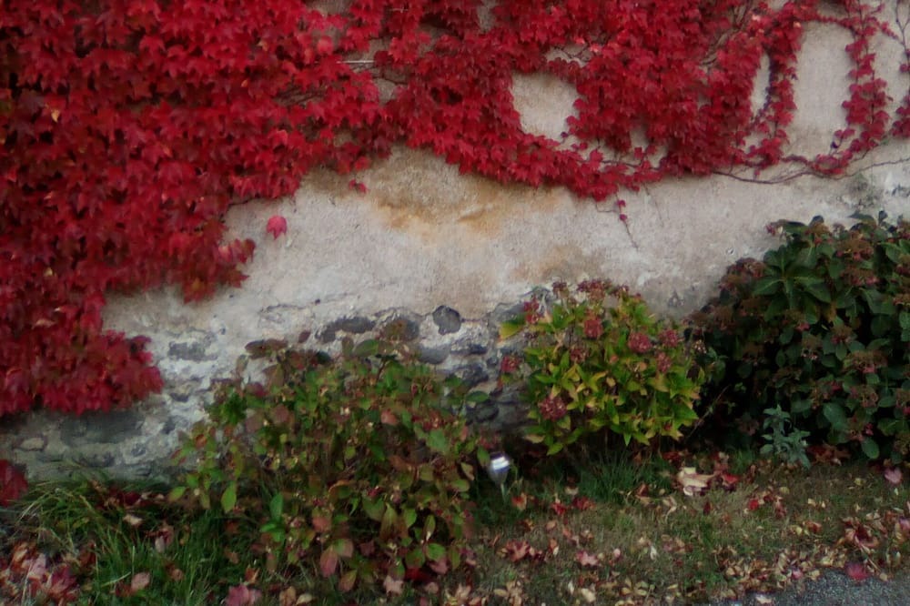 Photo of Outdoor in Rochessauve
