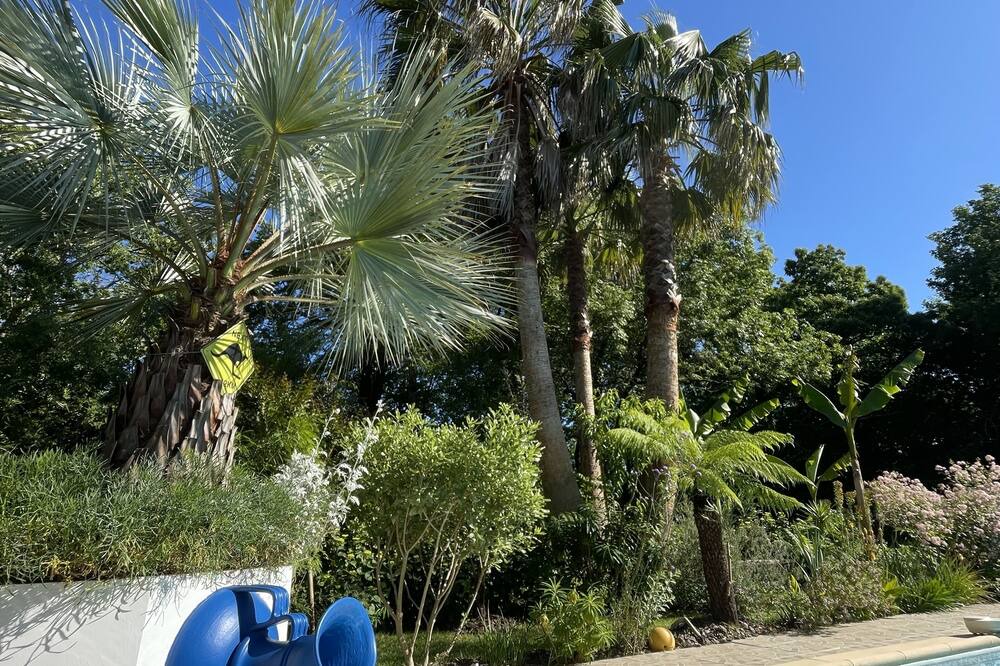 Photo of Outdoor in Saint-Martin-de-Seignanx