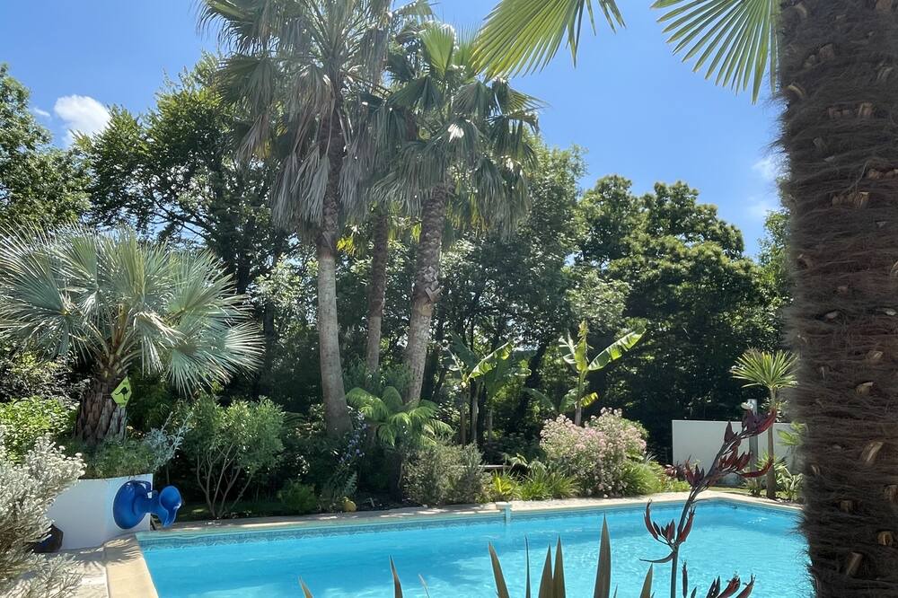 Photo of Outdoor in Saint-Martin-de-Seignanx