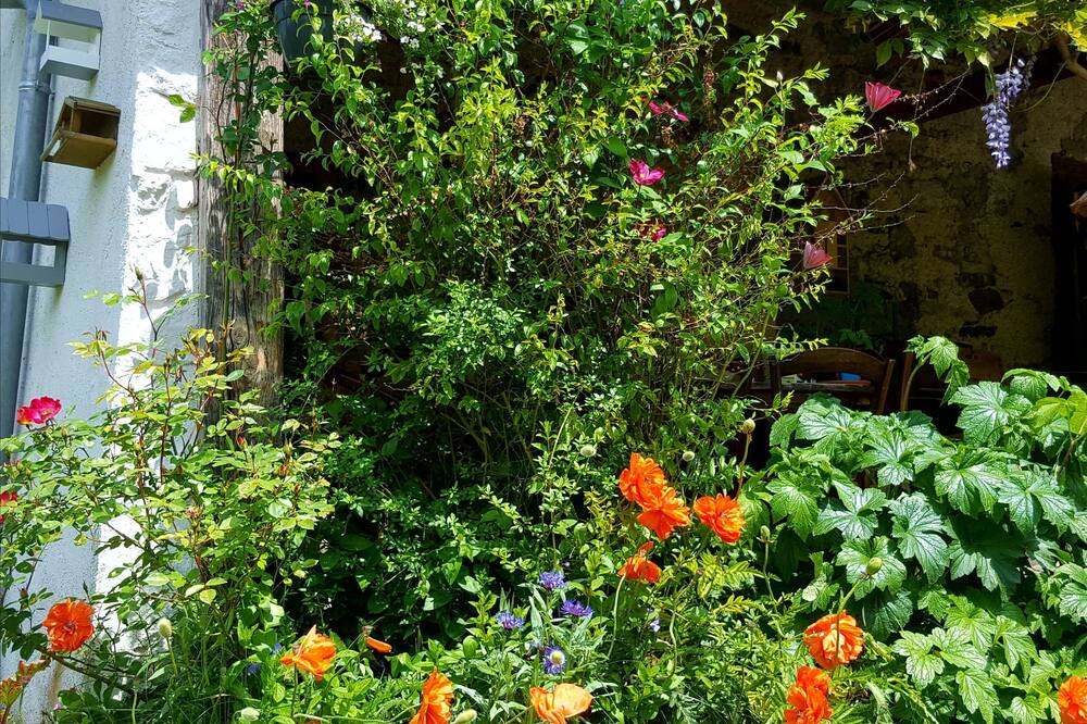 Photo of Outdoor in Campan
