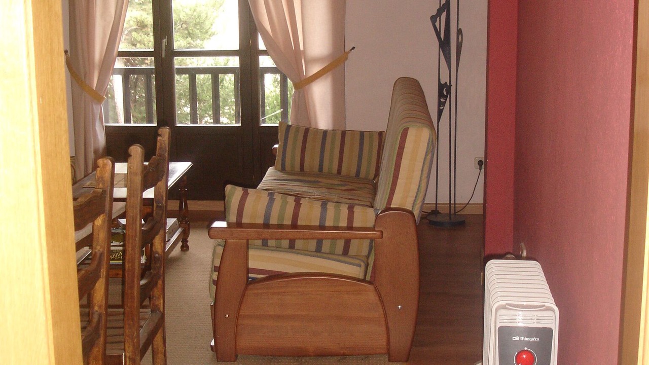 Photo of Livingroom in Espot