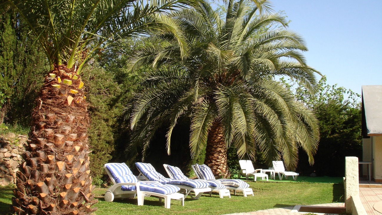 Photo of Outdoor in Villelongue-dels-Monts