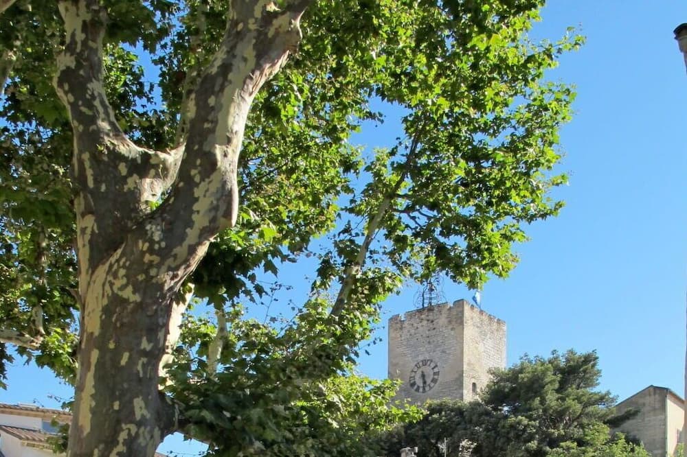 Photo of Others in Pernes-les-Fontaines