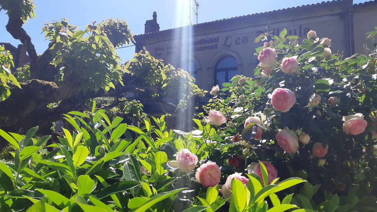 Photo of Outdoor in Saint-Macaire