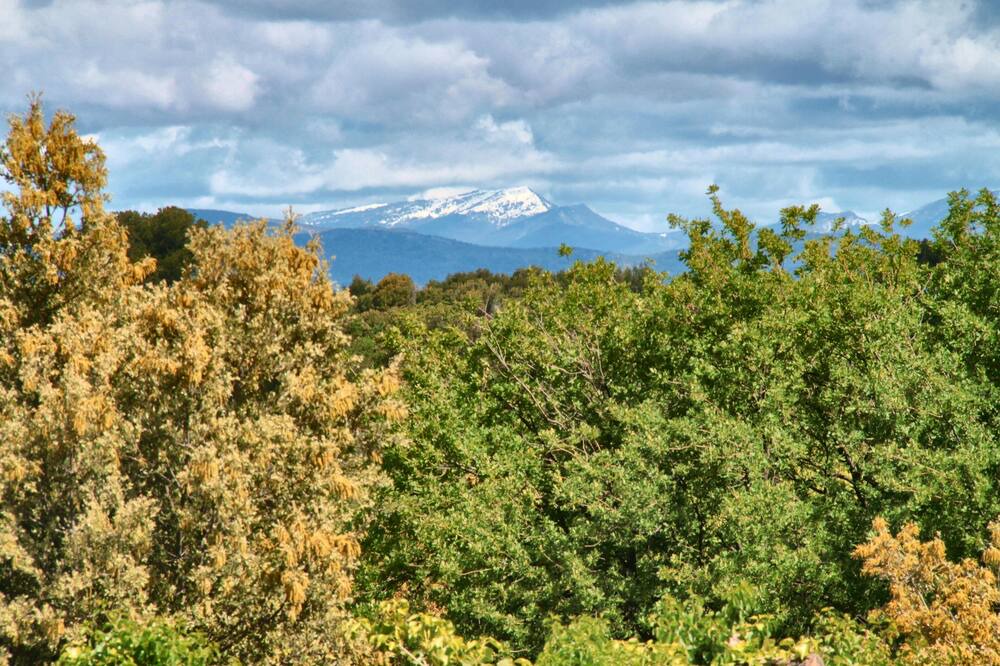 Photo of Outdoor in La Roque-sur-Pernes