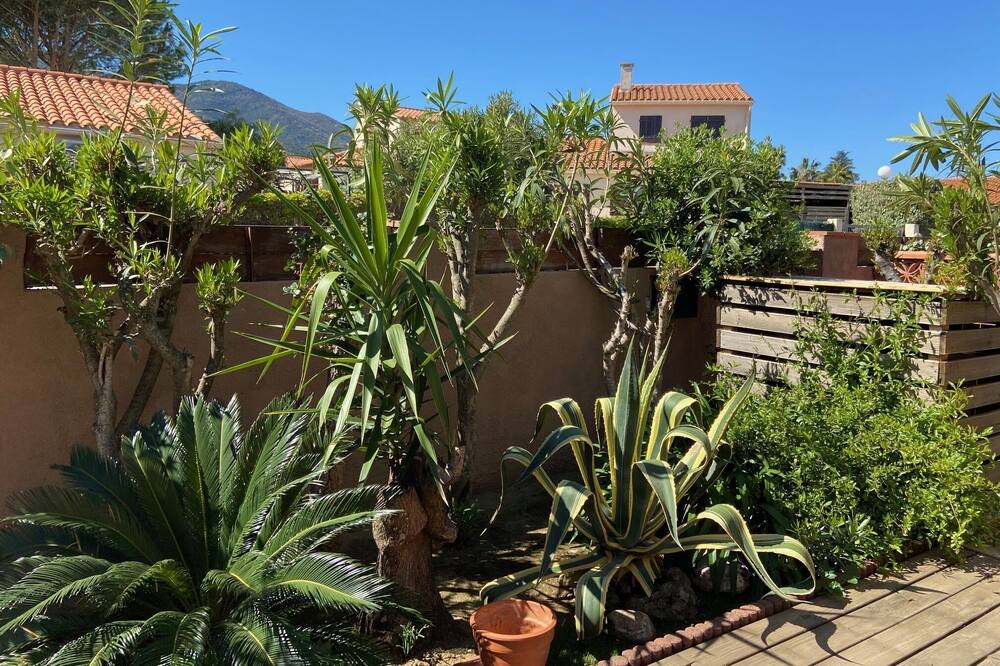 Photo of Outdoor in Villelongue-dels-Monts