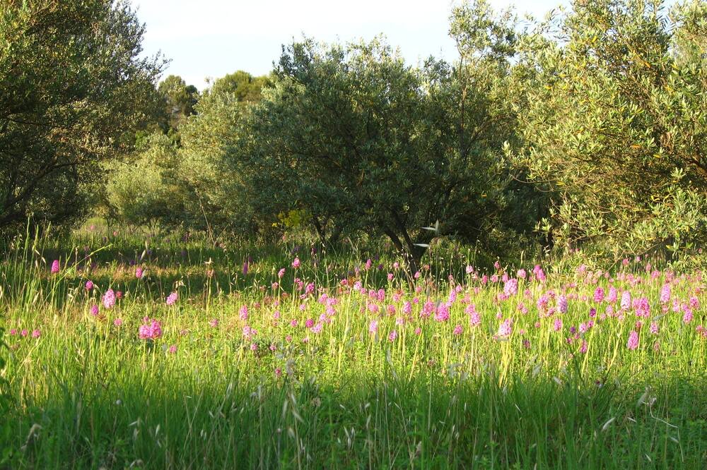 Photo of Outdoor in Sillans-la Cascade