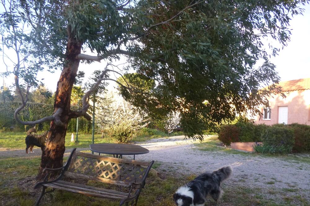 Photo of Outdoor in Castelnou
