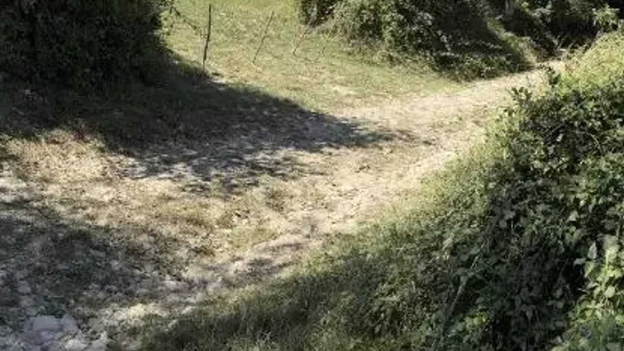Photo of Others in Bertholene