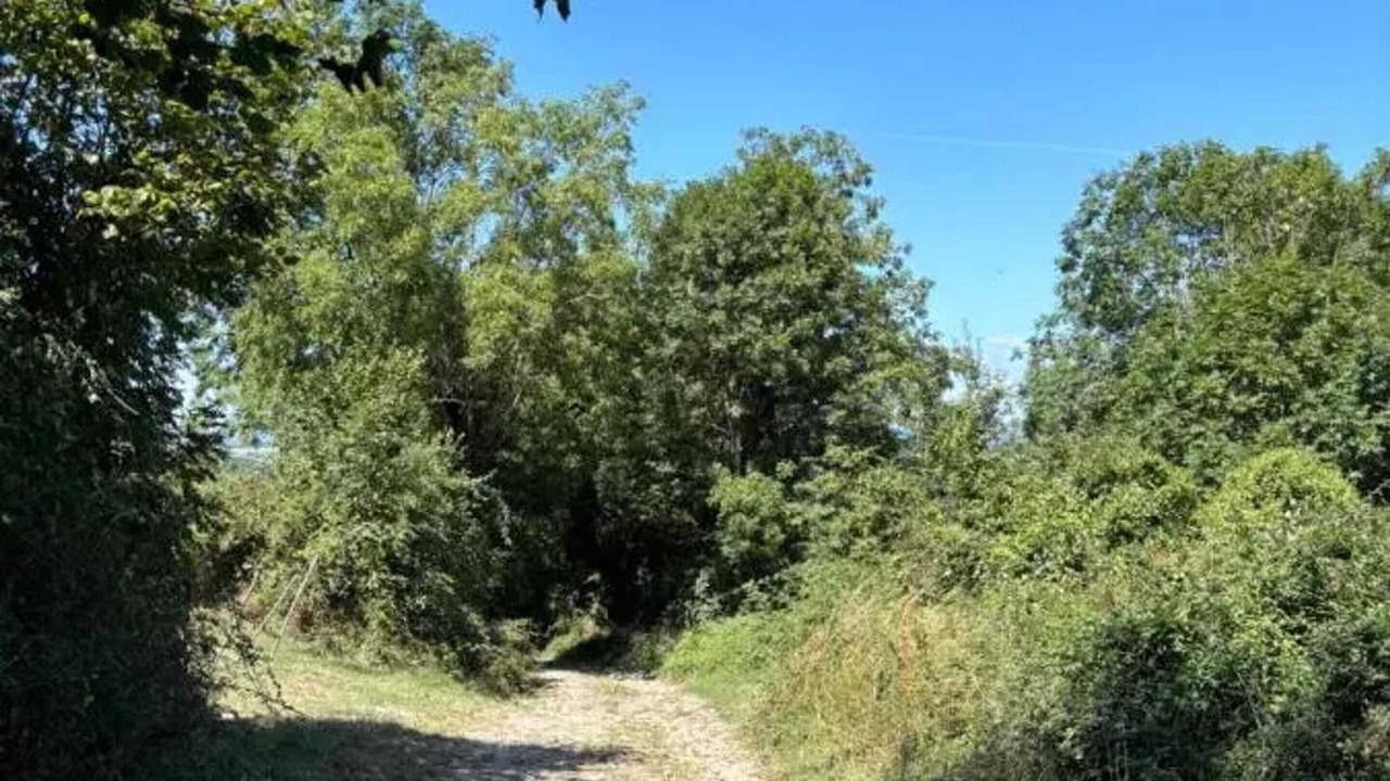 Photo of Others in Bertholene