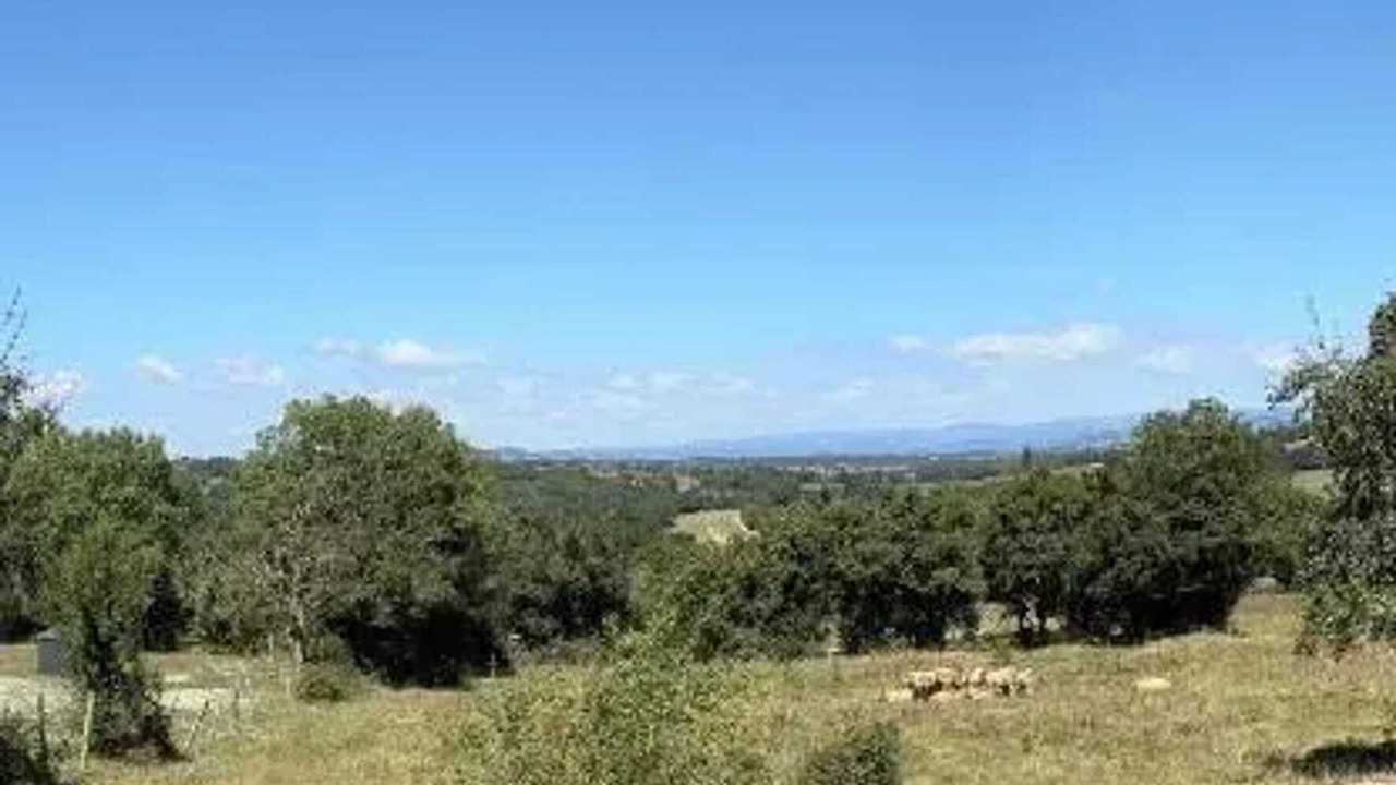 Photo of Others in Bertholene