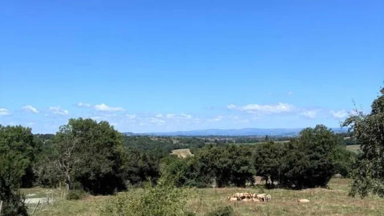 Photo of Others in Bertholene