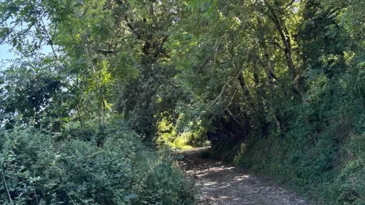 Photo of Others in Bertholene