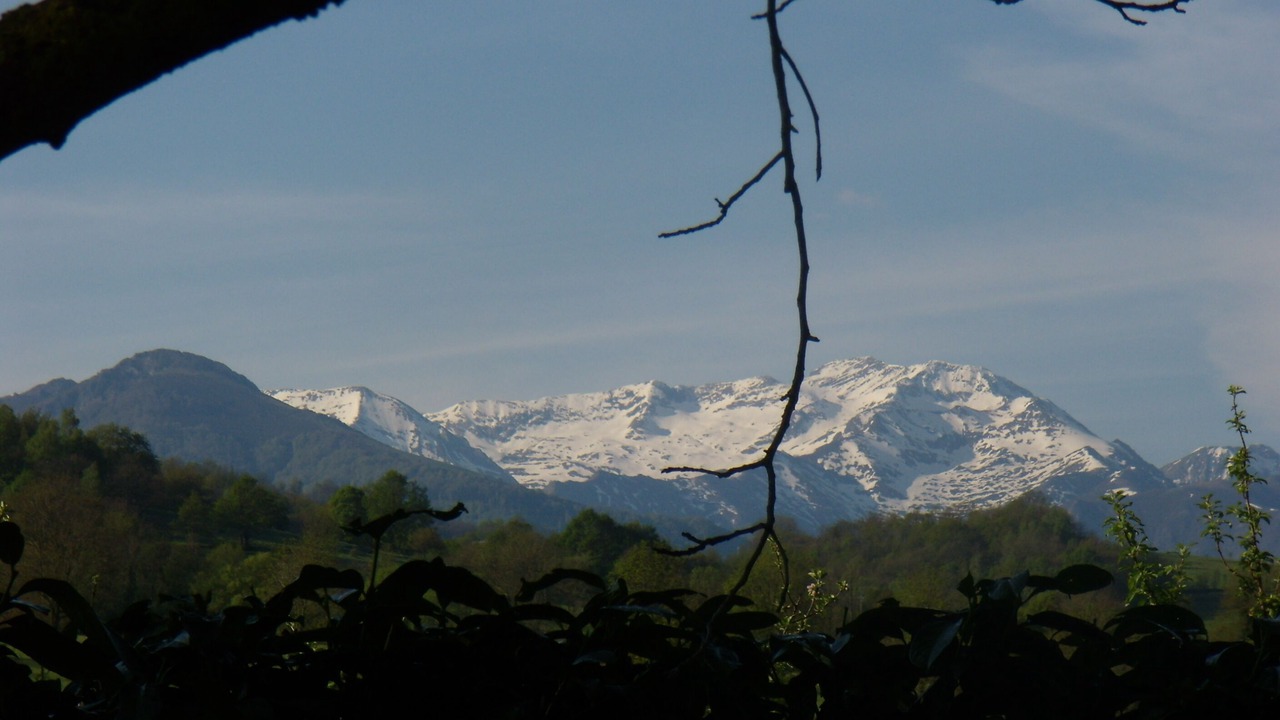 Photo of Others in Balagueres