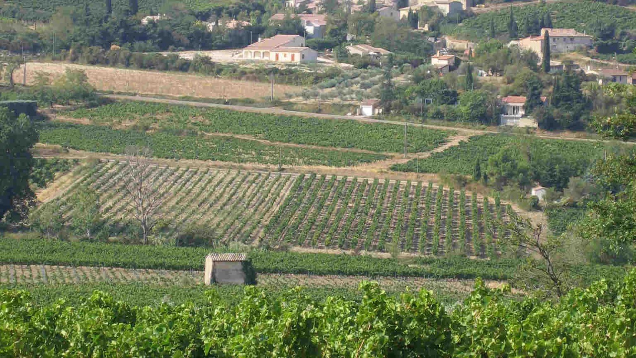 Photo of Outdoor in Villedieu