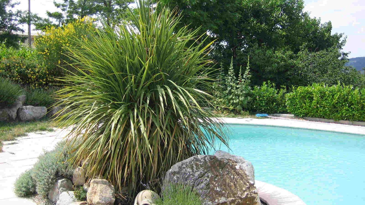 Photo of Outdoor in Villedieu