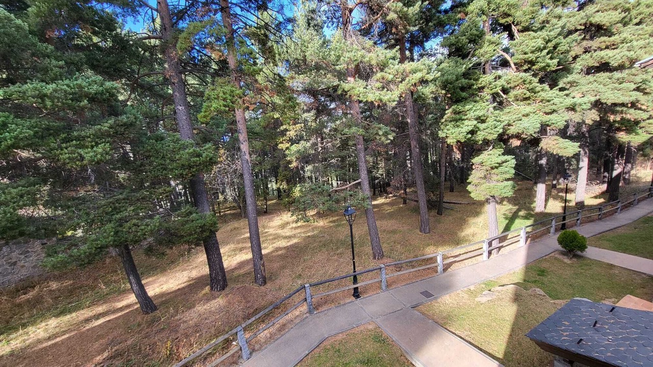 Photo of Others in La Molina