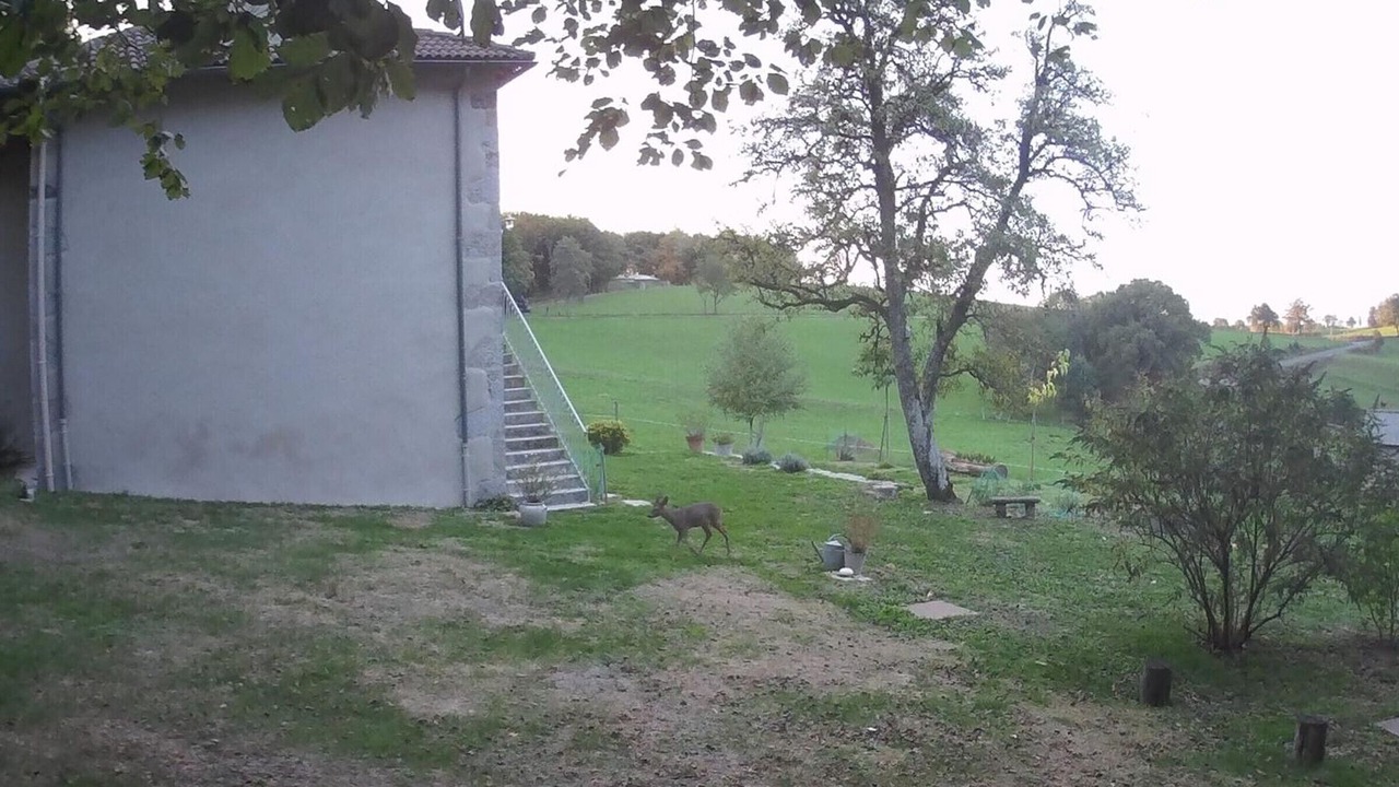 Photo of Outdoor in Saint-Saury