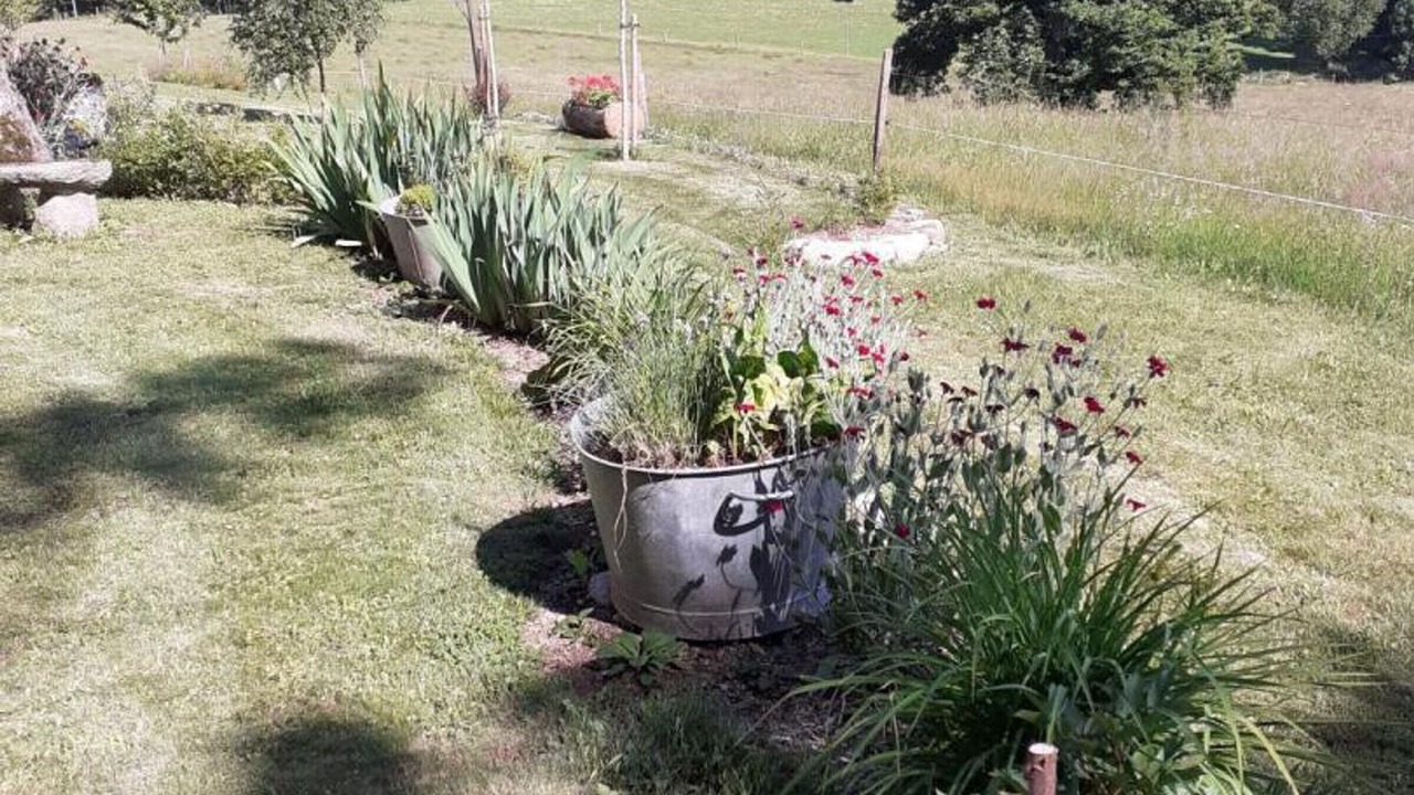 Photo of Outdoor in Saint-Saury