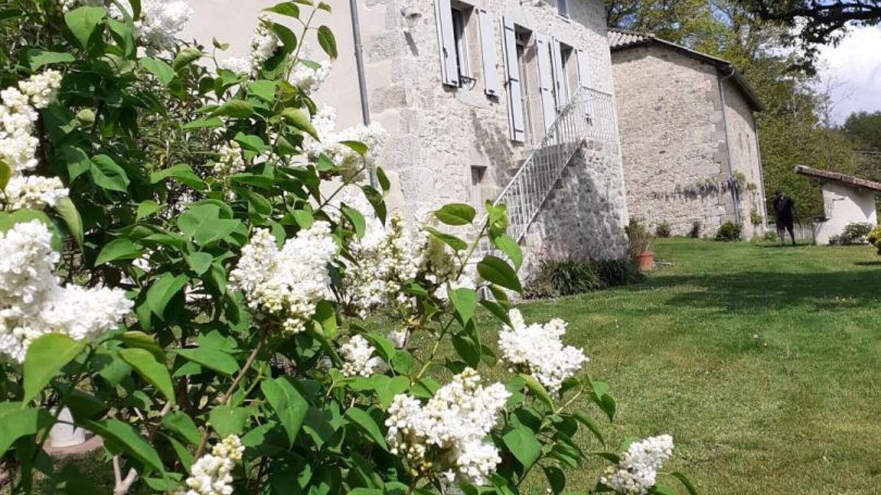 Photo of Outdoor in Saint-Saury