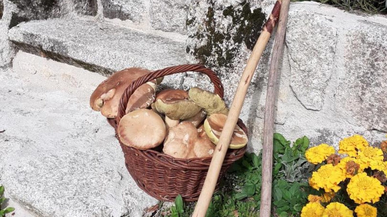 Photo of Outdoor in Saint-Saury