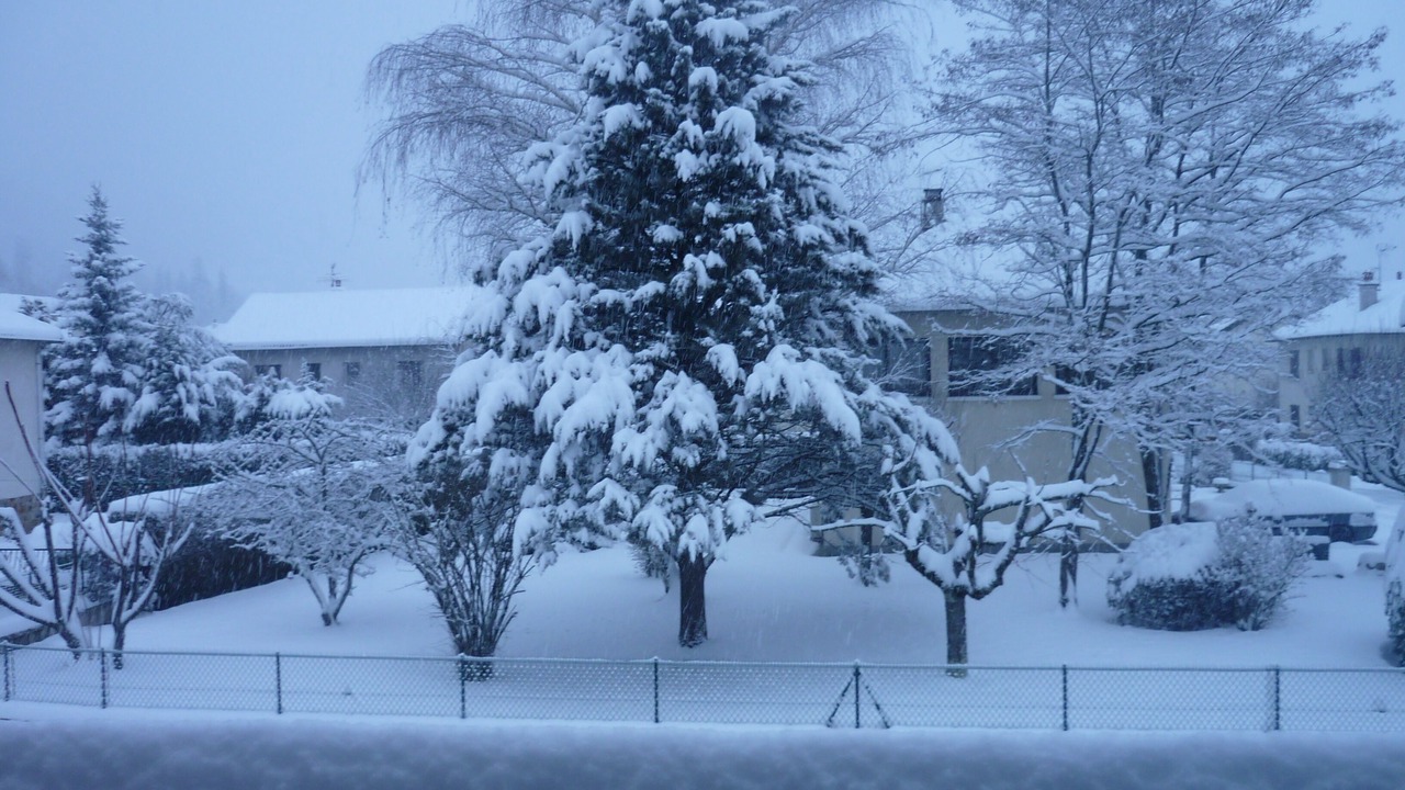 Photo of Outdoor in Vic-sur-Cere