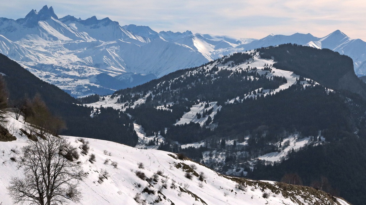 Photo of Others in Montaimont
