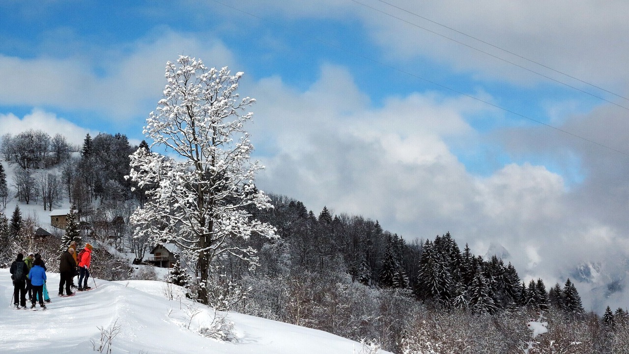 Photo of Others in Montaimont