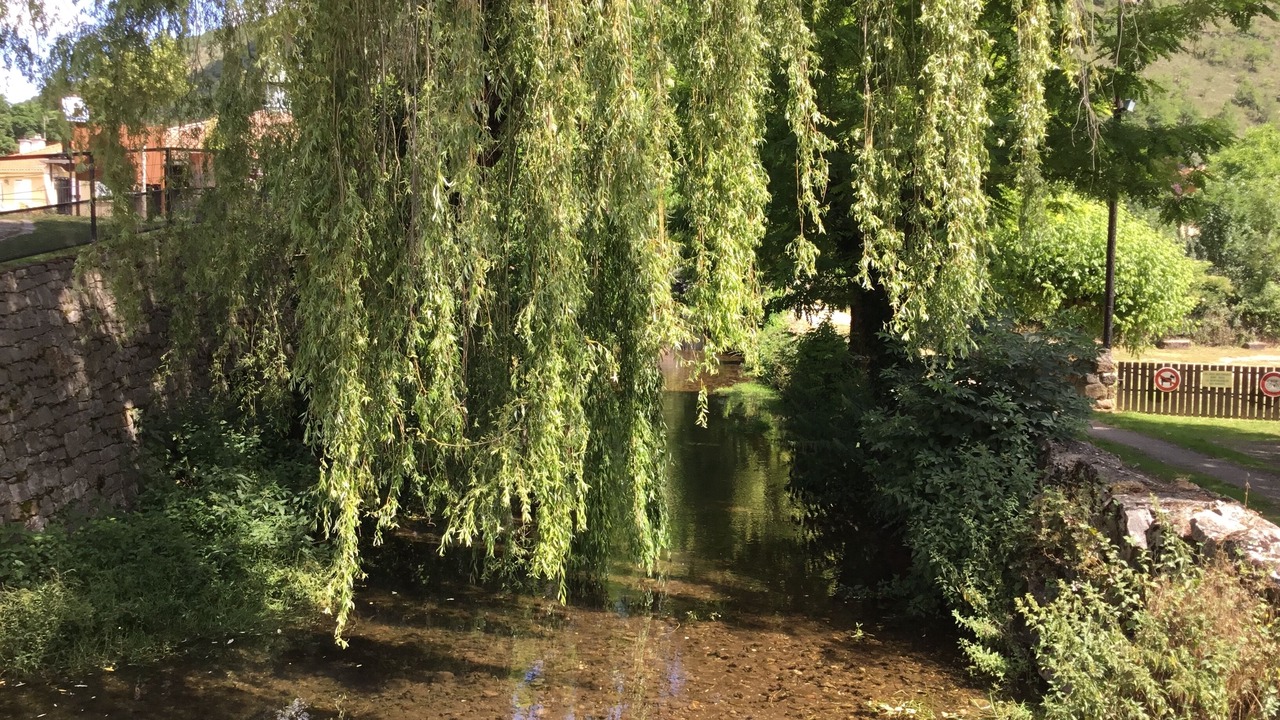Photo of Outdoor in Verrieres