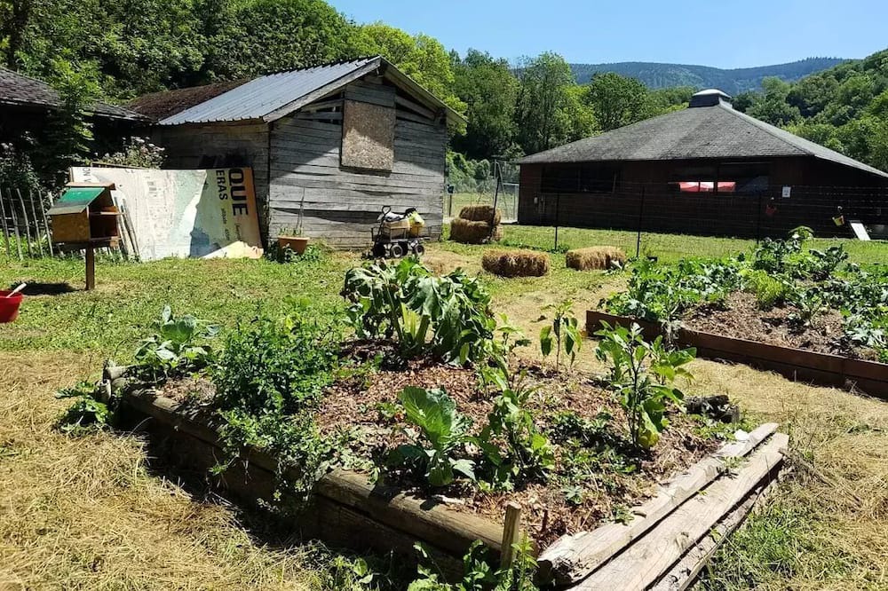 Photo of Outdoor in Brusque