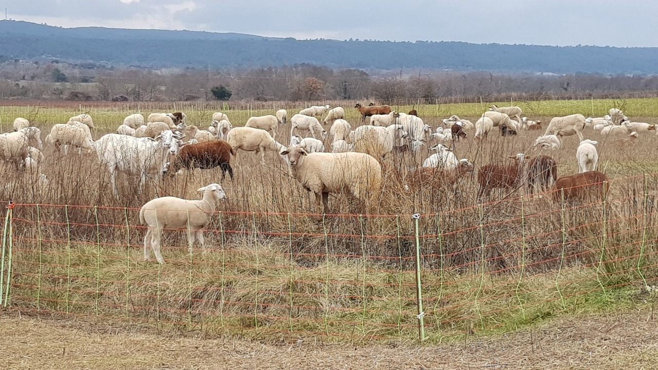 Photo of Outdoor in Aigremont