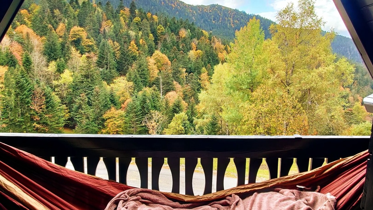 Photo of Outdoor in Boutx