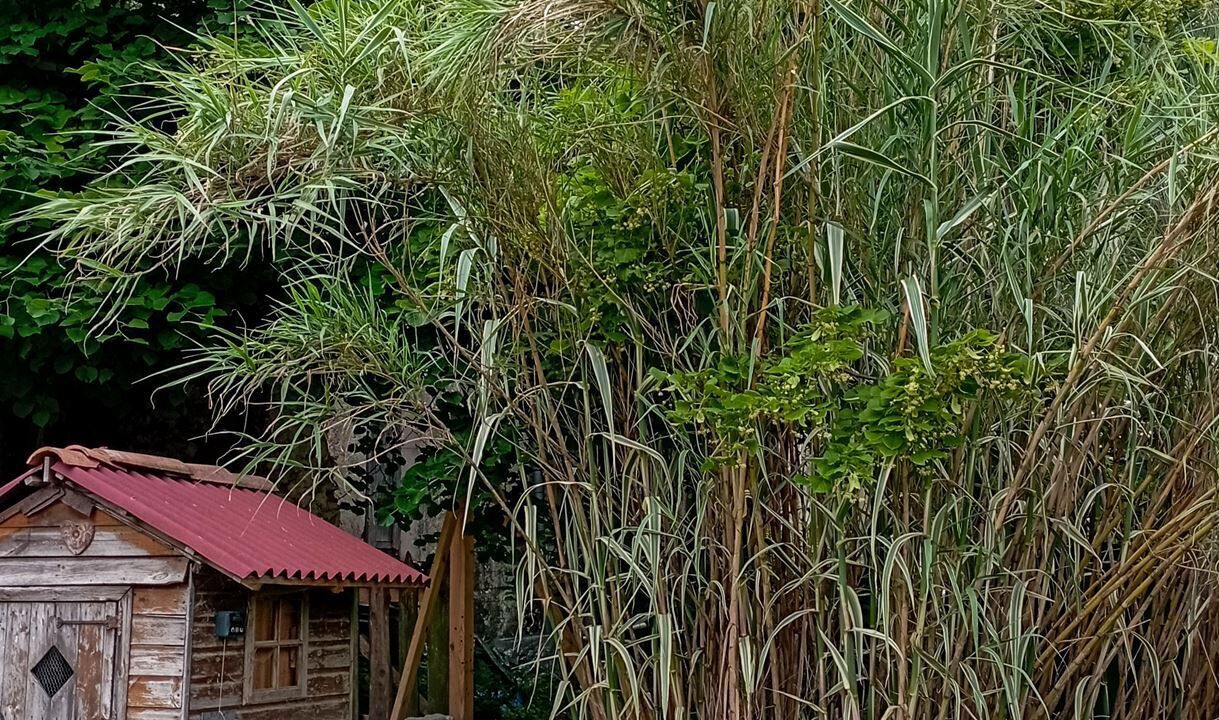 Photo of Outdoor in La Begude-de-Mazenc